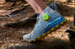 BOAテクノロジー社キャンペーン