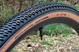 シュワルベ・G-ONE R