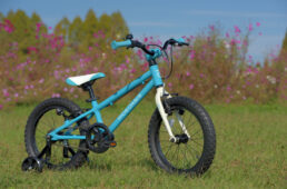 ライドオアシス・ニノエル