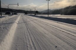 猪野学　ネオ坂バカ奮”登”記　第8回