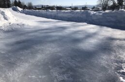 猪野学　ネオ坂バカ奮”登”記　第8回