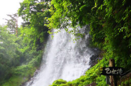 シマノ・バイカーズ2022