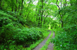 シマノ・バイカーズ2022