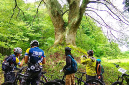 シマノ・バイカーズ2022