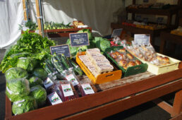 シマノ・バイカーズ2022