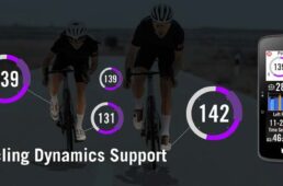 ブライトン Rider S800