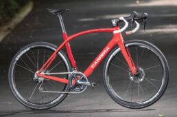 フィブラディスク