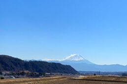 七里岩