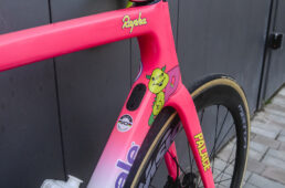 キャノンデール「ラファ×パレス コレクション2022」