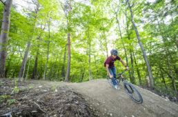 グロップアンテ