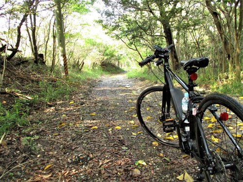 山の淡路島アドベンチャーサイクリングツアー