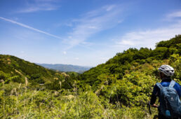 峠を上りきったところ