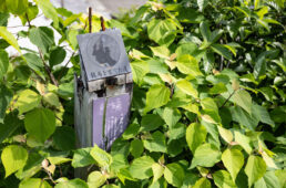 龍馬に関わるモニュメント