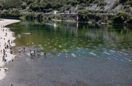 紙のこいのぼり