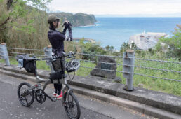 バーディースタンダード