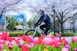めざせ！しまなみ海道　サイクリング入門
