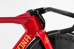 フィエルテのステム