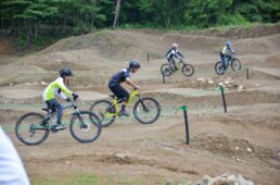 グロップアンテ