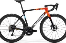 スクルトゥーラチーム