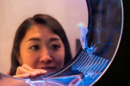 ほたるいかミュージアム