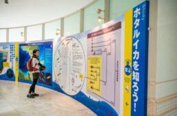 ほたるいかミュージアム