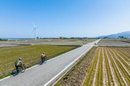 風力発電用の風車が建つエリア