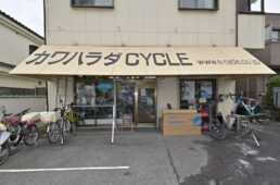 カワハラダの外観