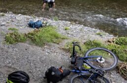 川に入るシシャチョー