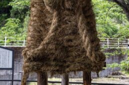 宮谷の大わらじ　金剛バッコ