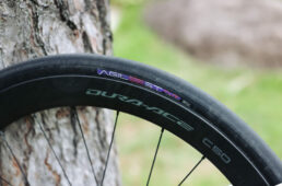 カレドニア-5のタイヤ