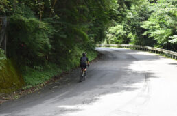 できるだけ上る