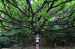ジオパークでの佐藤みゆきさん