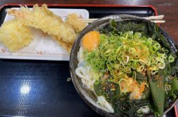 セルフうどん やま 徳島駅前店のうどん