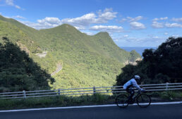 南阿波サンライン