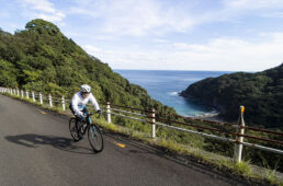 大人の四国一周サイクリング 第8回