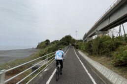 ごめん・なはり線沿いの廃線跡