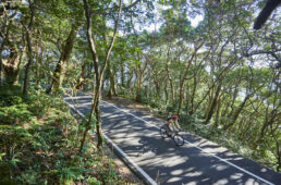 四国一周高知編