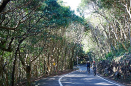 四国一周高知編