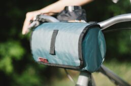 バッファローバッグ