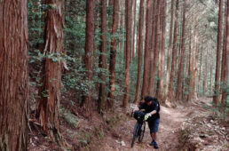 Uの字に掘られた旧道を思わせる道
