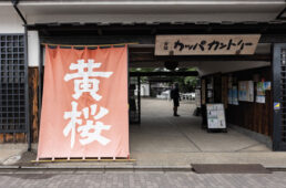 キザクラカッパカントリー