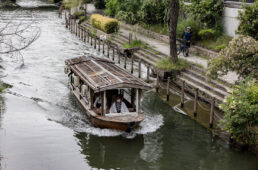 伏見宿の観光船