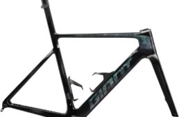 プロペルアドバンスドSLフレームセット