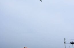 大阪国際空港付近を飛ぶ飛行機