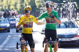 ヴィンゲゴーとヴァンアールト