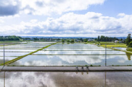 富山じてんしゃ旅 田園サイクリング編