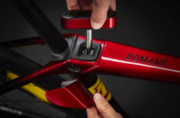 トレックドマーネ2022