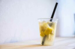 ゆめしま海道を遊びつくすnoson808