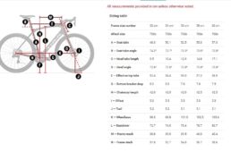 トレックドマーネRSLジオメトリ