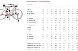 トレックドマーネSLRジオメトリ